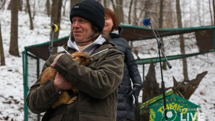 "Весна буде за шість тижнів", — бабак Тимко зробив традиційний прогноз - 285x160