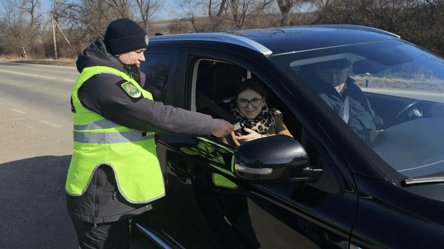 Для водителей авто ужесточили правила на границе с Молдовой - 285x160