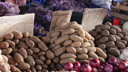 В Україні удвічі впала ціна на базовий овоч — що продають дешевше - 290x160