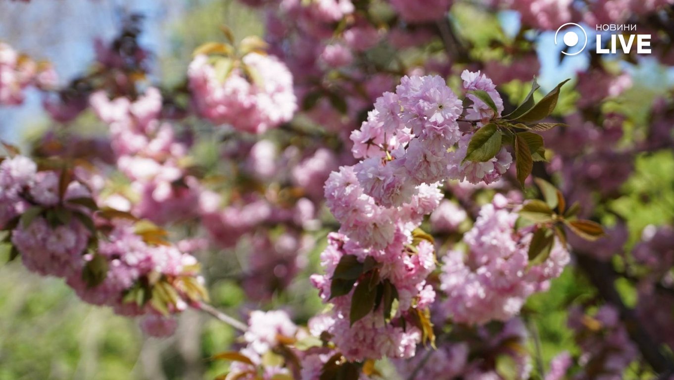 Весна в центрі Одеси