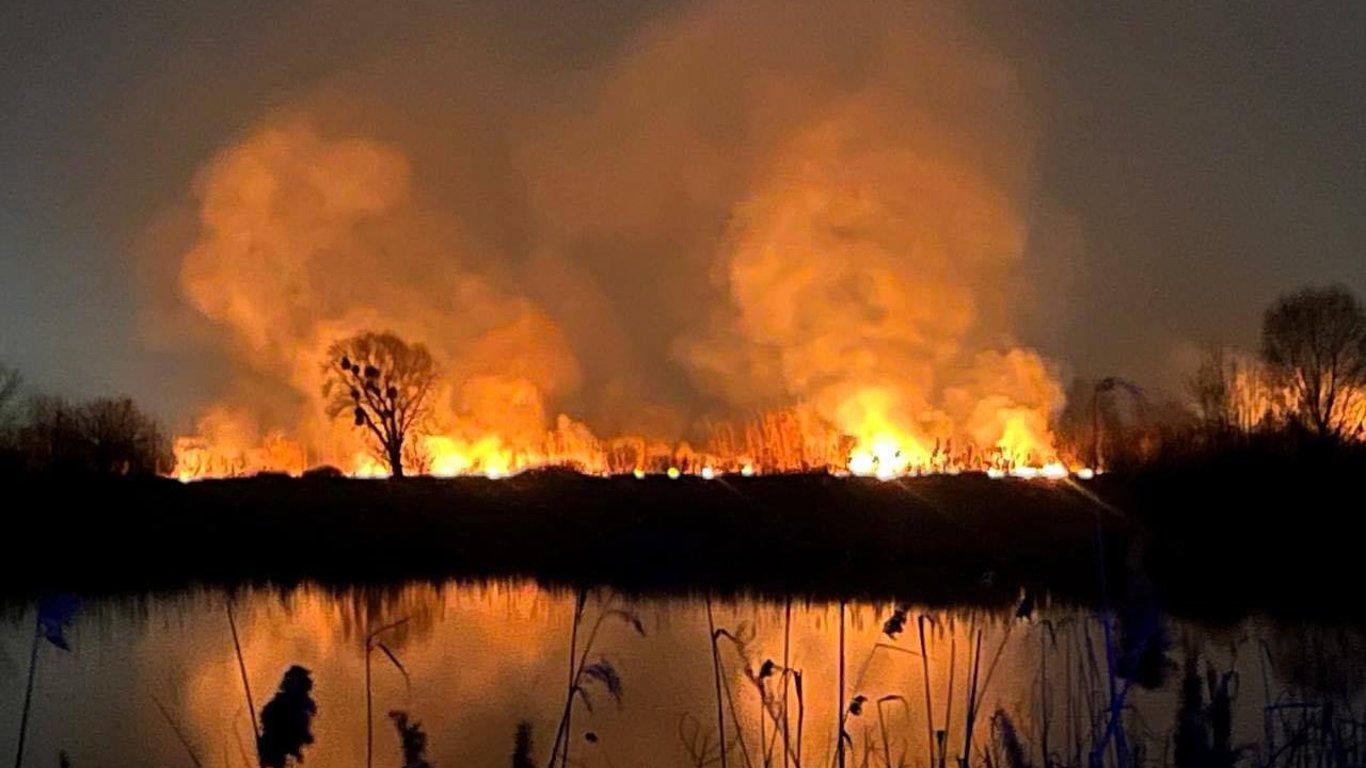 Пожар в экопарке в Киеве — активисты утверждают, что это был поджог и назвали виновных