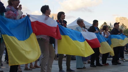 Нардепка розповіла, як українці підсилюють економіку Польщі - 290x166