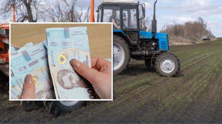 Владельцы земли в Украине могут платить меньший налог: кто в списке - 285x160