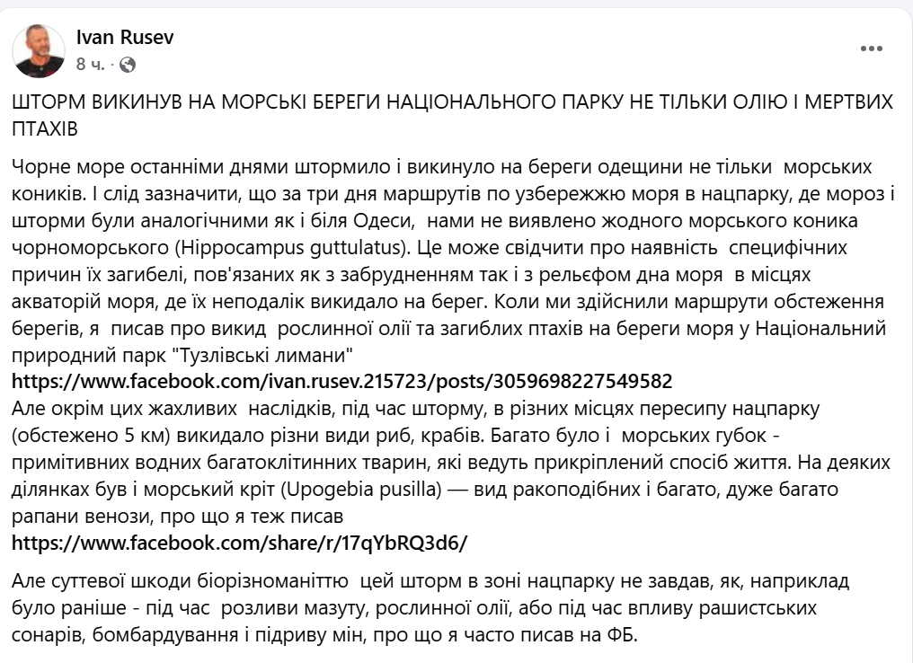 Морських коників в Одесі вбив не шторм — еколог назвав причини - фото 1
