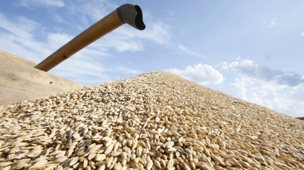 Фуражный ячмень прибавляет в цене — сколько стоит тонна в январе - 285x160