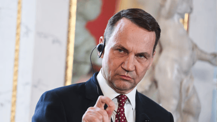 Сикорский раскрыл детали инцидента с дронами в Польше - 285x160