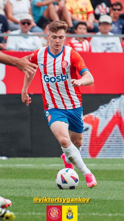 Виктор Цыганков