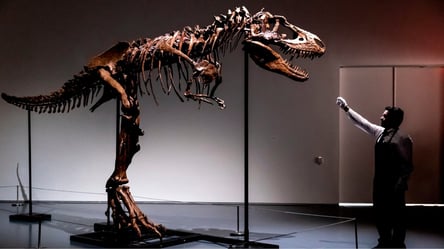 Невже динозаврів вигадали? Вчені пояснили, чому кістки рептилій так важко знайти - 285x160