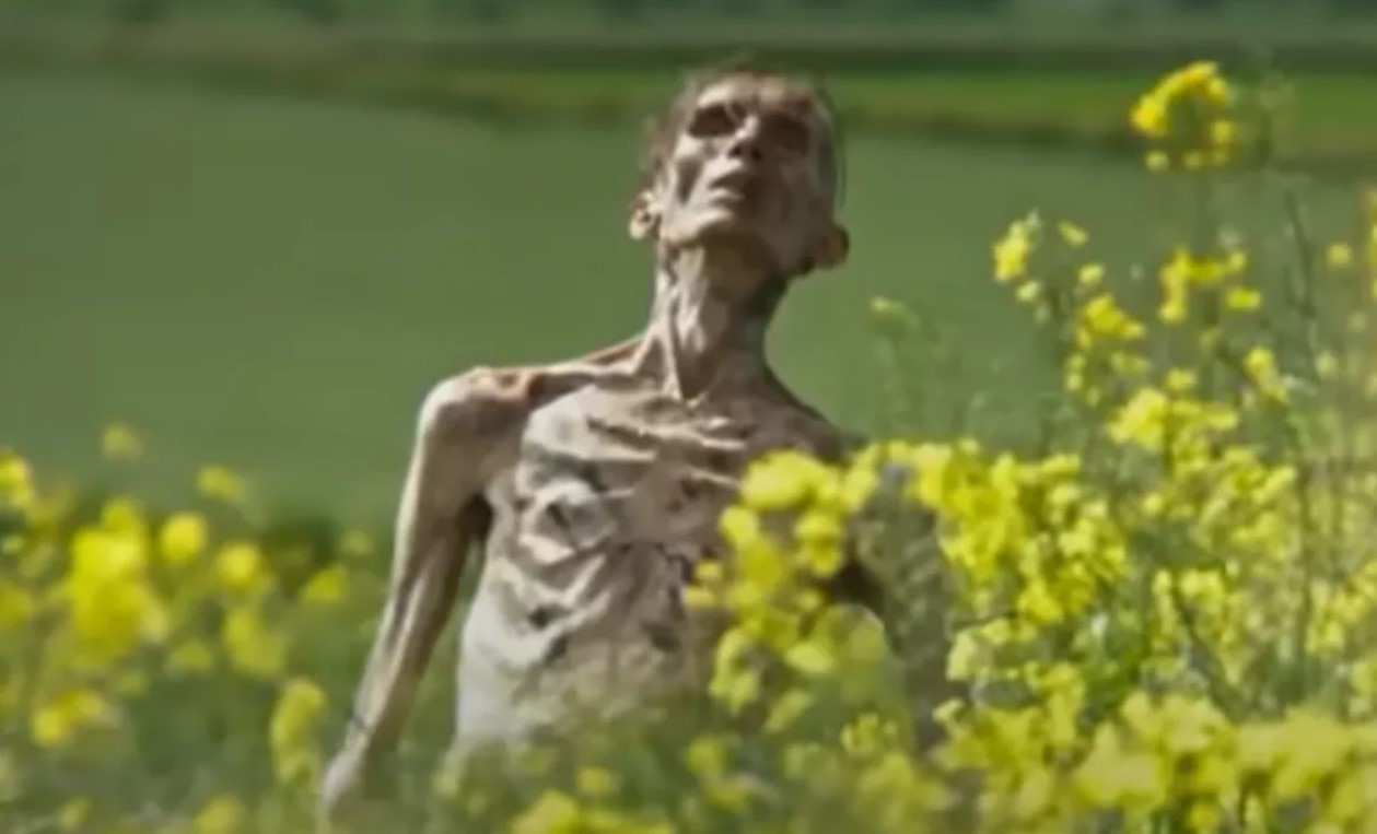 Трейлер "28 років потому"