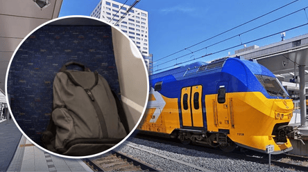NS изменила правила перевозки багажа: чего не стоит делать в поезде - 285x160