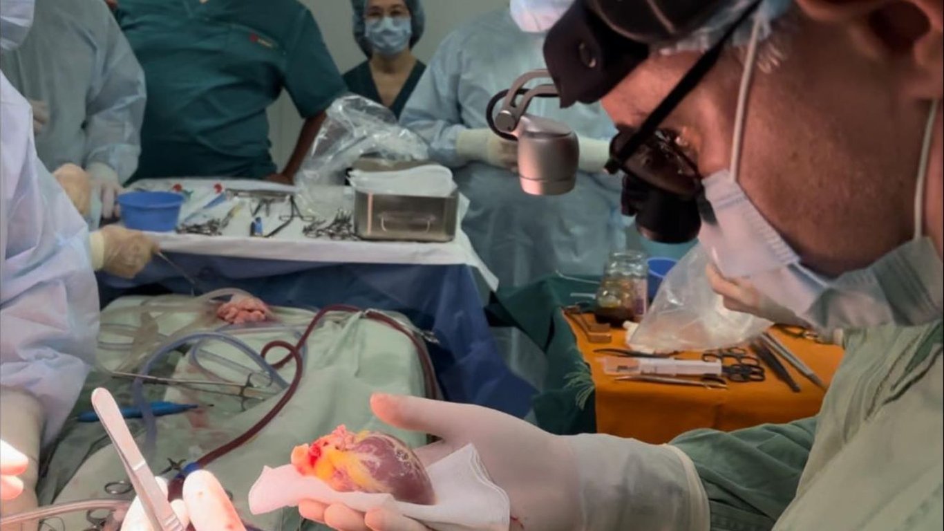 Трансплантация сердца в Украине