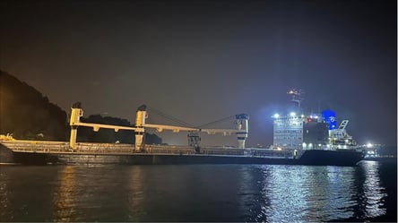 ​​​​​​​Рух у Босфорі призупинено через аварію українського судна - 285x160