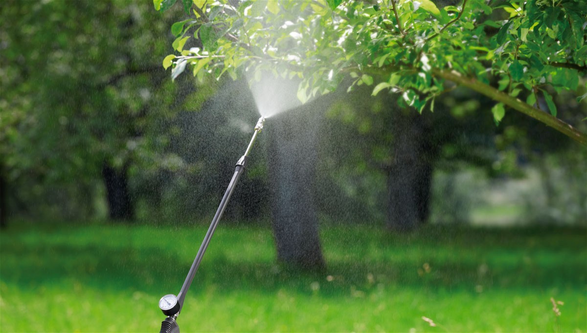 Як і чим обробити персик після цвітіння
