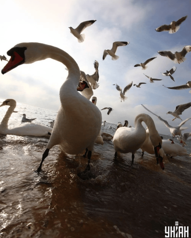 Визуальная головоломка для проверки внимательности