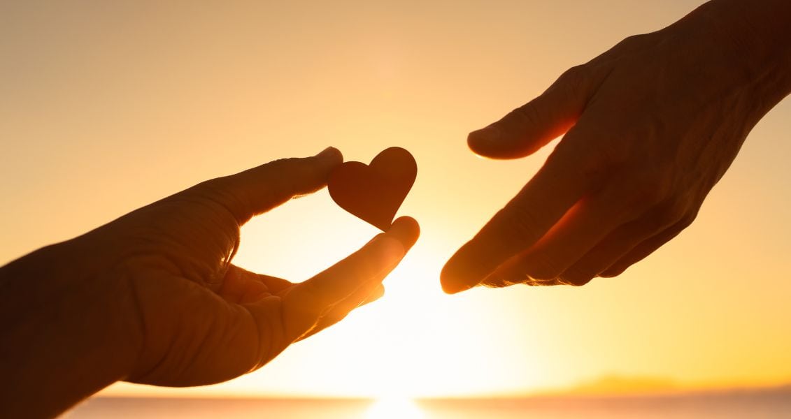 Руки и сердце