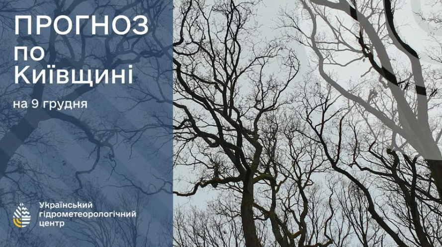 погода в Киеве