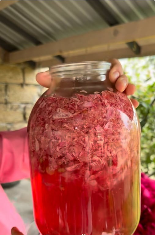 Трояндове вино - як приготувати