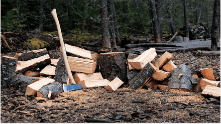 Дрова для отопления — сколько будет стоить куб топлива зимой - 285x160