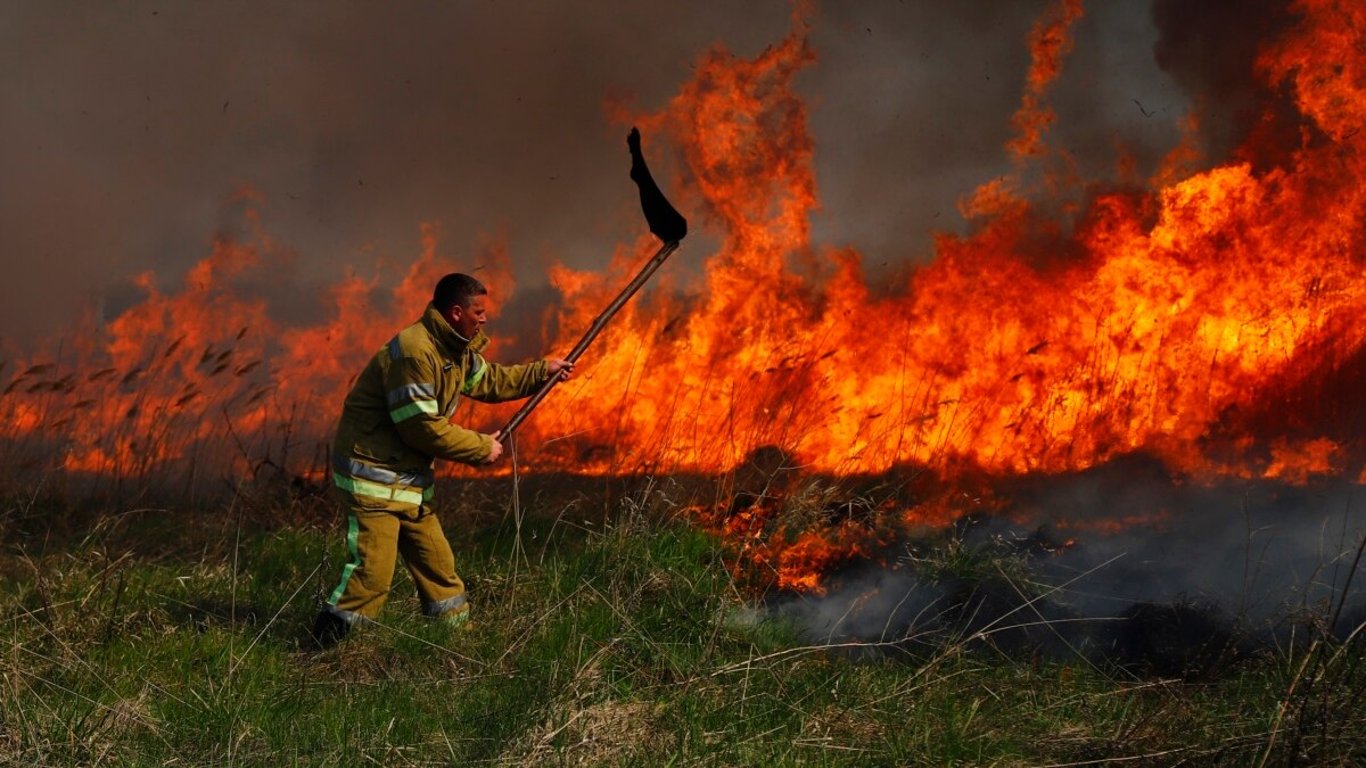 В Одесской области наказали поджигателей сухой растительности: какой штраф их ждет