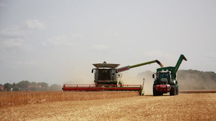Ціни на зерно в Україні — скільки коштує соняшник у травні - 290x160