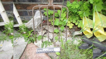 На Харківщині судили хулігана — бив вилами водія авто на дорозі - 285x160