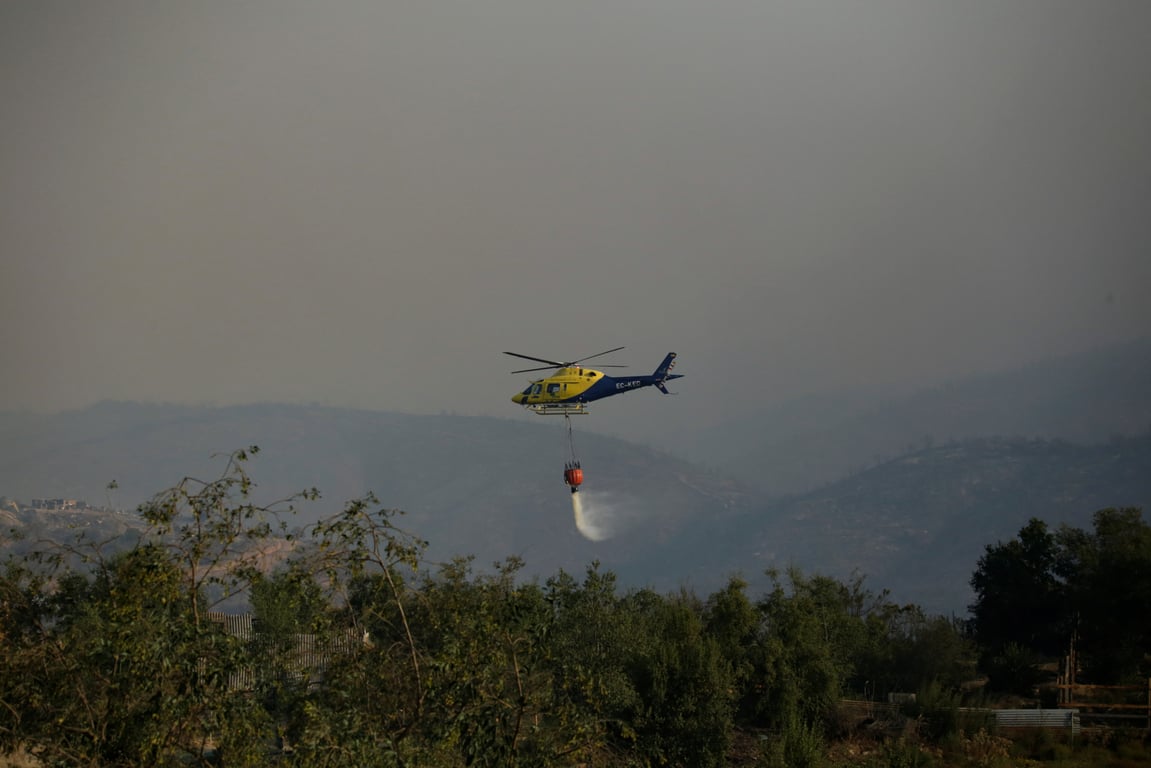 наслідки лісових пожеж в Чилі