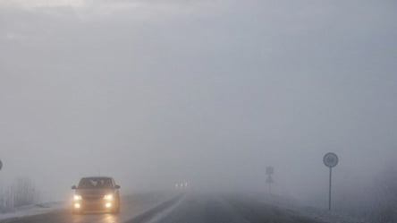 Ветер, туман и небольшой снег: синоптики рассказали о погоде 15 января - 285x160
