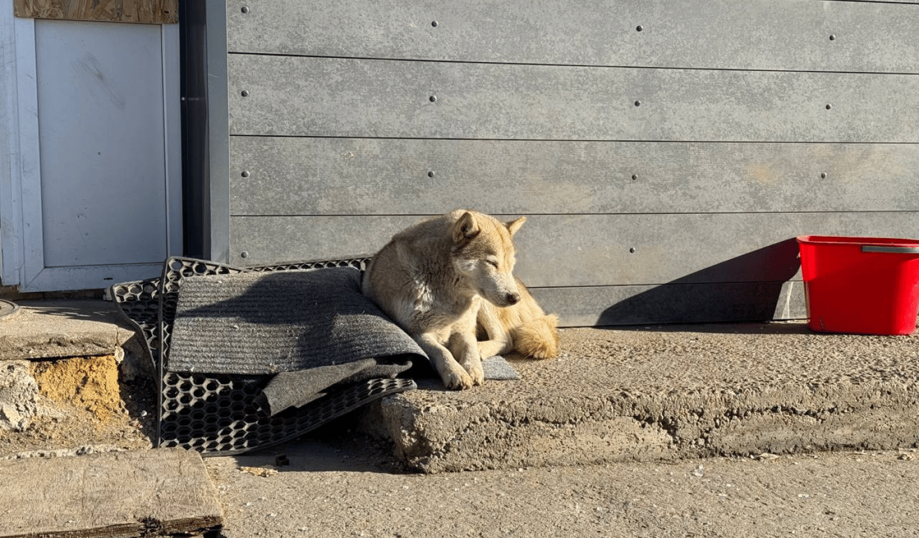 Потрощені будівлі й авто — Одещина після ранкової атаки РФ, фото - фото 9