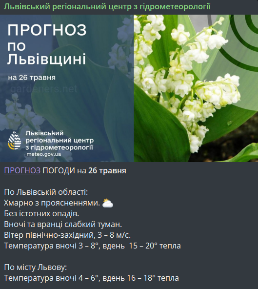 Погода у Львові 26 травня