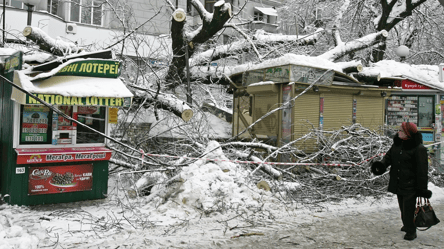 Чи можна забирати гілки, які залишили комунальні служби у 2026 - 285x160
