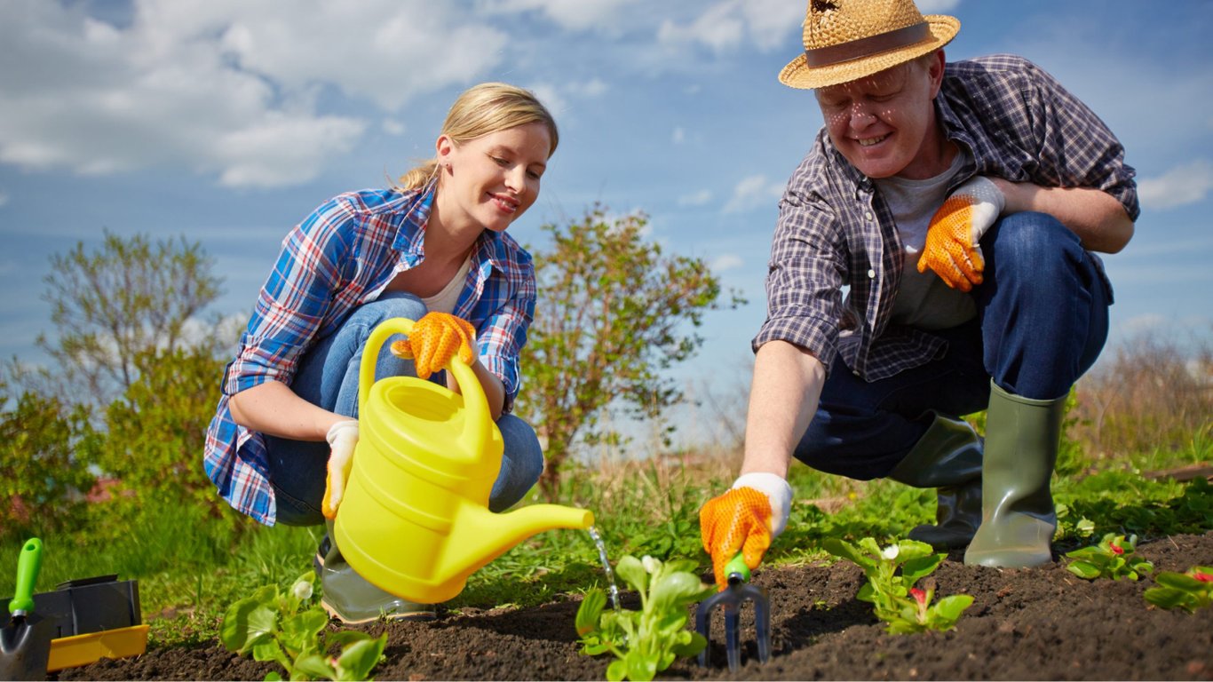 Чи можна садити в Чистий четвер 2024 — народні прикмети