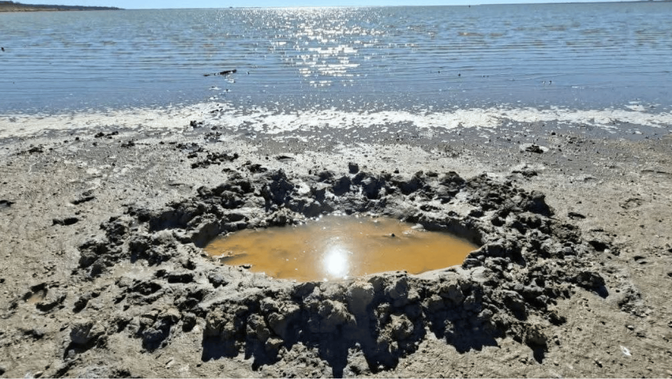 У Нацпарку на Одещині виявили незвичні кратери