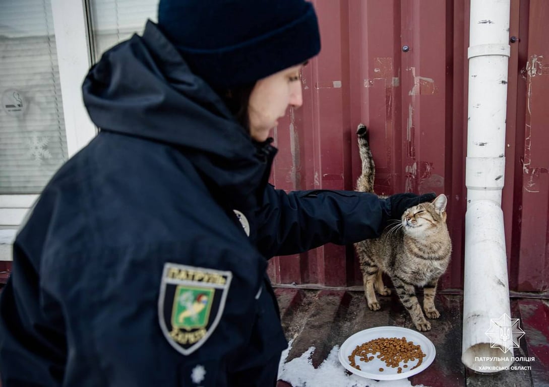 Порятунок чотирилапих у холоди — як копи допомагають пухнастикам - фото 4