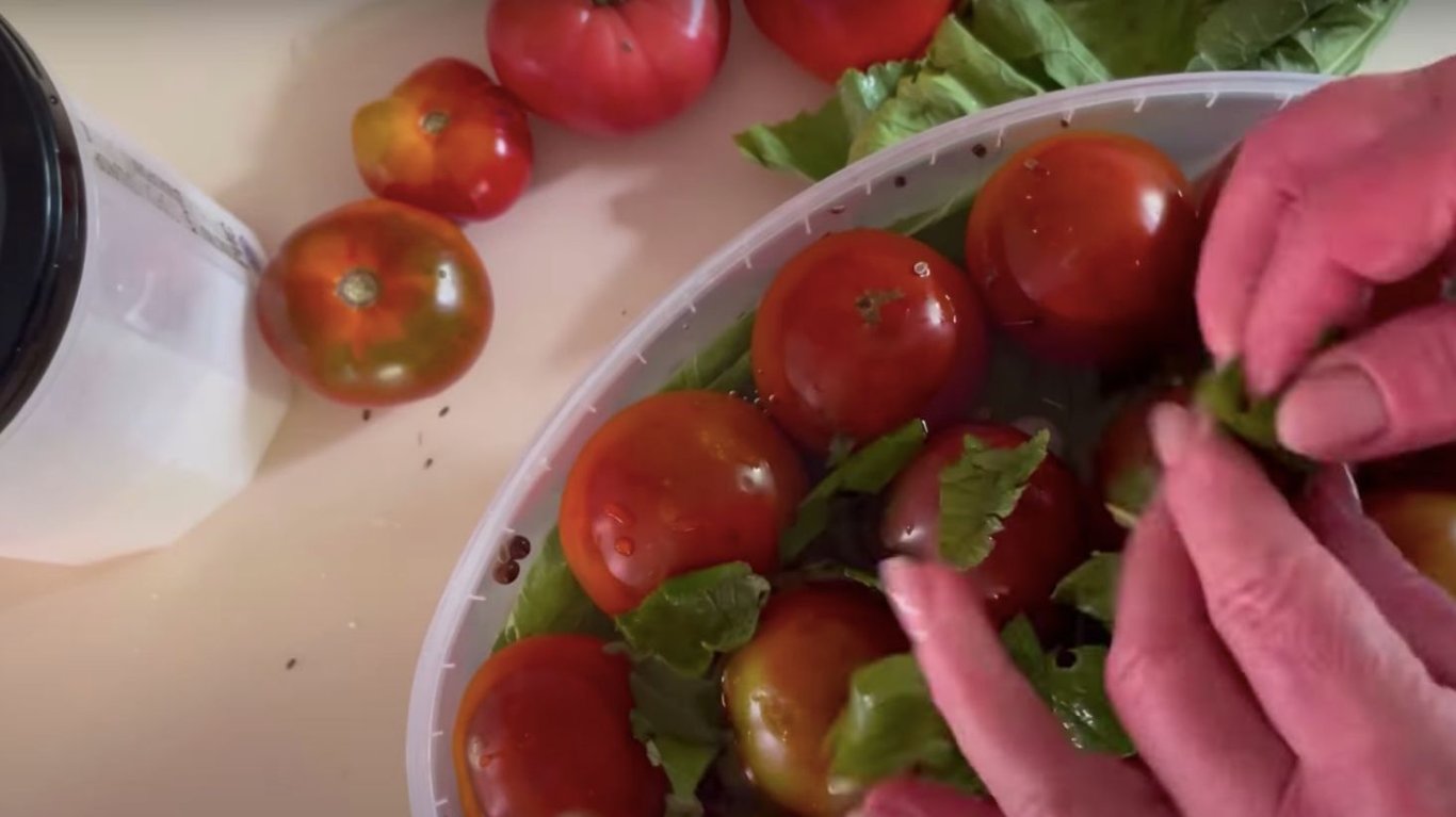 рецепт квашених помідорів на зиму 