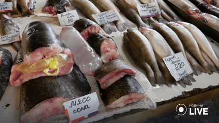 Купание в море и продажа свежей рыбы категорически запрещены, — мэр Одессы - 285x160