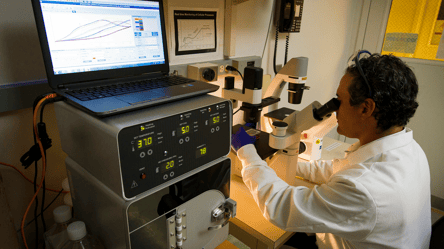 Не золото — який метал вважається найдорожчим у світі - 285x160