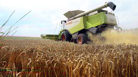 Ячмень будут продавать по новым ценам — когда ждать изменений - 328x184