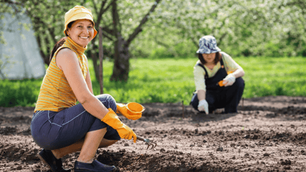 Що посіяти на городі та в саду в квітні: список овочів і квітів - 285x160