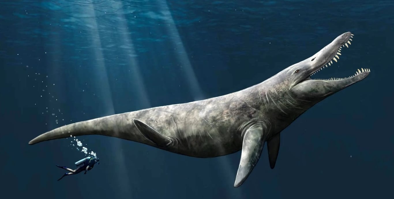 Что известно о крупнейшем монстре рода Pliosaurus