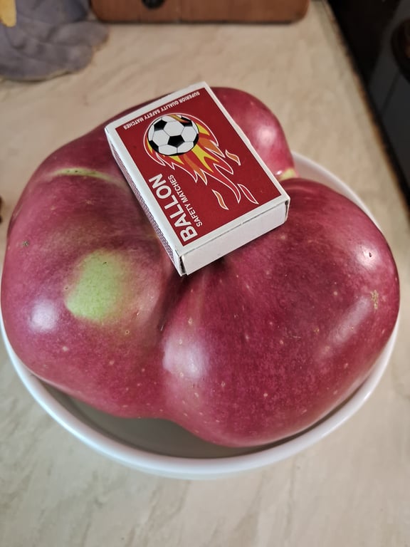 Киянин виростив найбільше яблуко в Україні