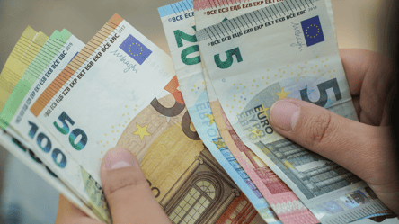 Українцям за кордоном заплатять гроші за повернення додому — нардеп - 285x160