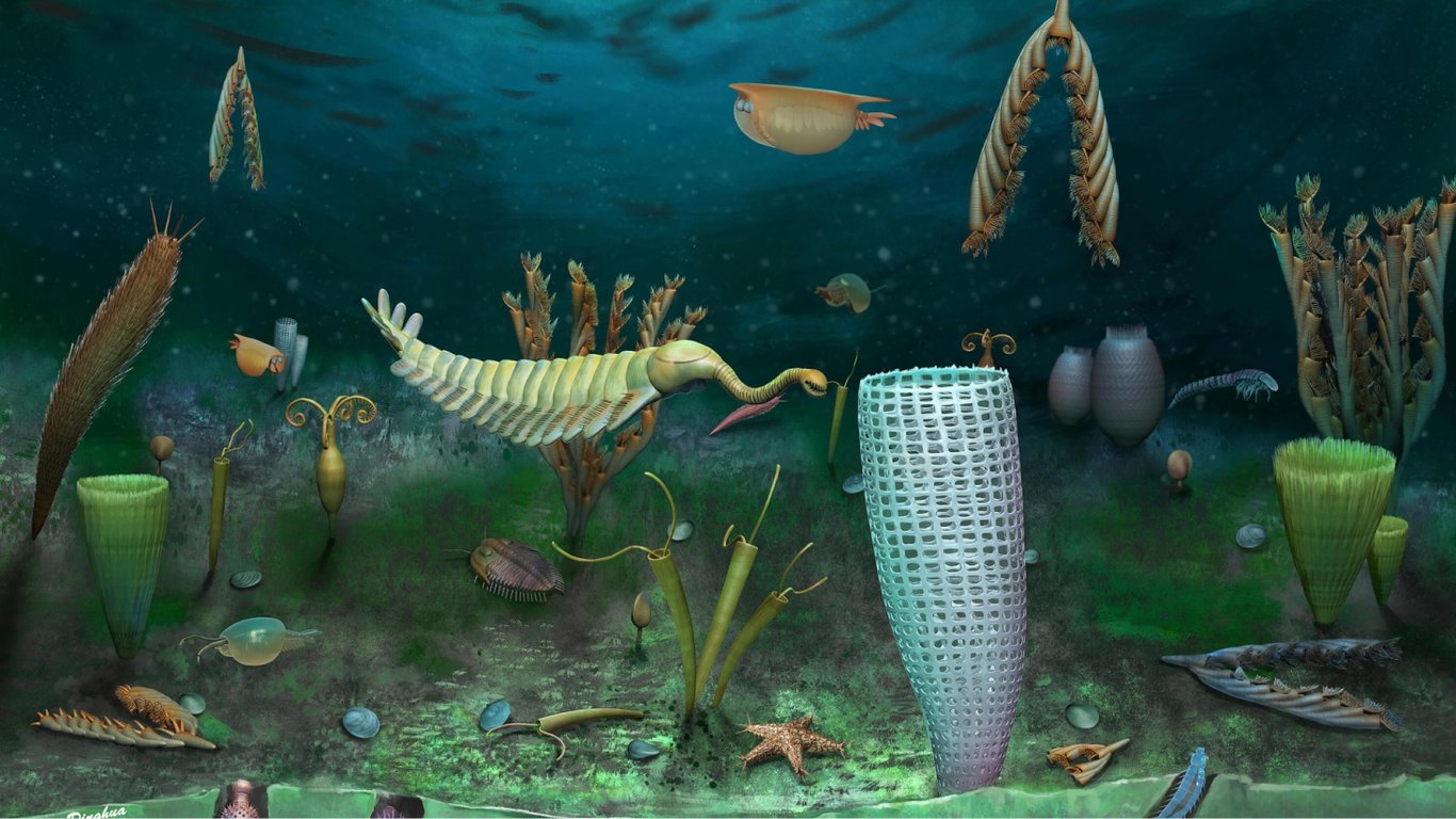 Родовище доісторичних скам'янілостей у Франції відкрило історію клімату