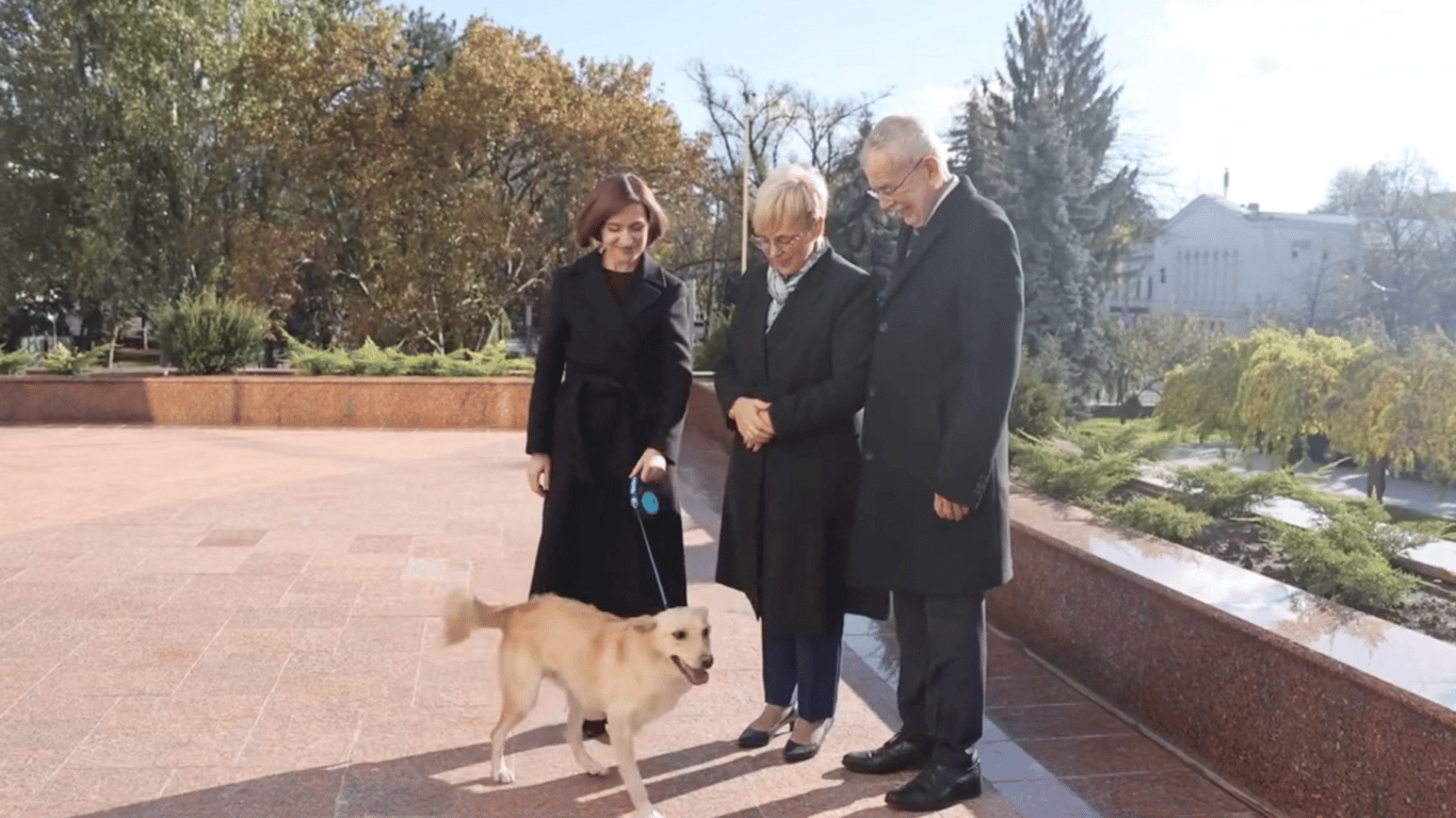 Собака Санду укусила президента Австрии