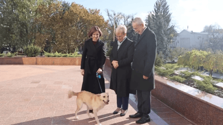 Собака Санду вкусив президента Австрії - 285x160