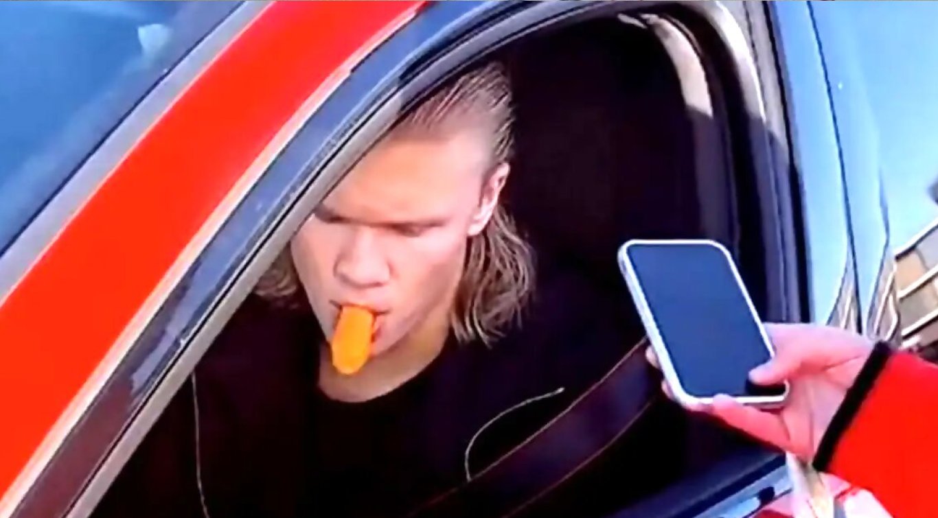 Эрлинг Холанн