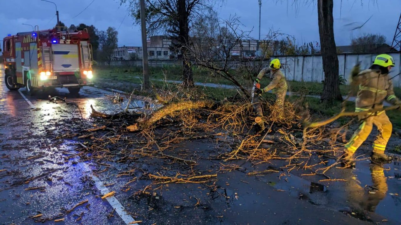 У двох районах Києва через шквальний вітер загинули двоє чоловіків