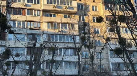 Оформлення права власності на житло через суд: документи та строки - 290x166