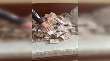 Ховав готівку у дивані: ЗМІ показали відео з обшуку в ексзаступника голови Міноборони - 285x160