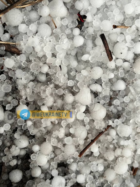 град київ 29 березня