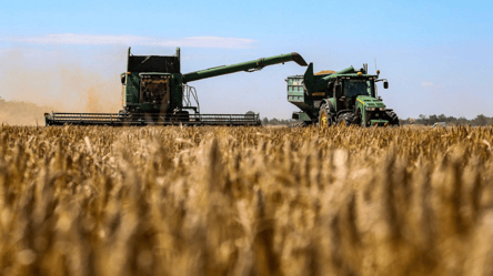 Ціни на зерно в Україні — скільки коштує тонна сої в липні - 285x160